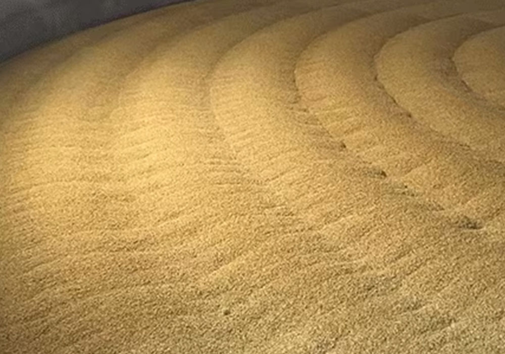 almacenar y manipular malta,equipos para cervecerías,Sistema de manipulación de malta